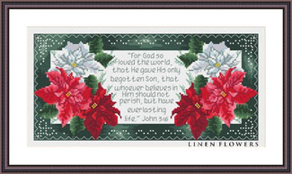 John 3:16 - For God So Loved