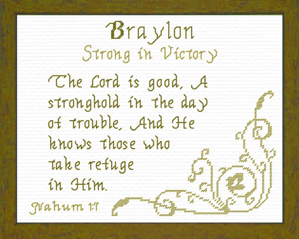 Name Blessings - Braylon